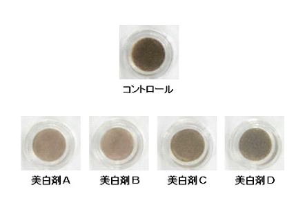 三次元培養皮膚モデルにおける色素沈着抑制試験